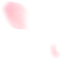 思藤情感