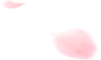 思藤情感